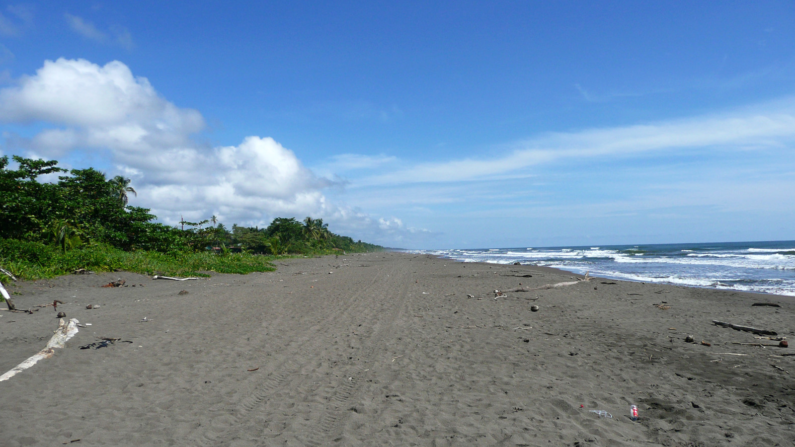Tortuguero beach Costa Rica