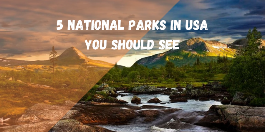 5 National Parks In USA You Should Have A Look